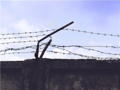 上海著名刑事律师