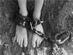 上海著名刑事律师